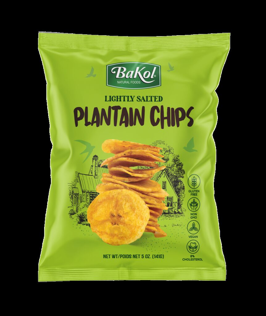 BAKOL LIGHTLY SALTED PLANTAIN CHIPS LARGE Drumstick
